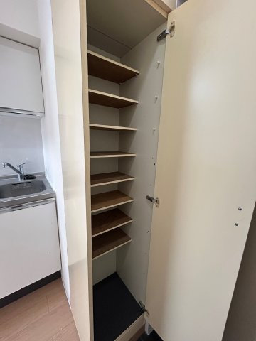 コスモアルタードの収納|シューズボックス