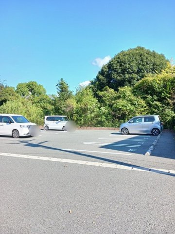 アヴニールのその他