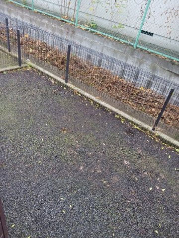 キングパレスⅡの庭