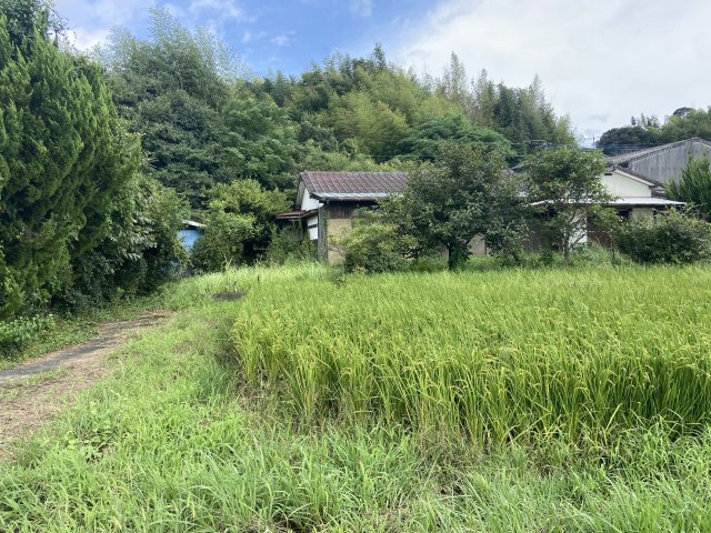 【周辺】 | 大牟田市宮崎