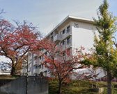 狩口台住宅26号棟　収益の画像