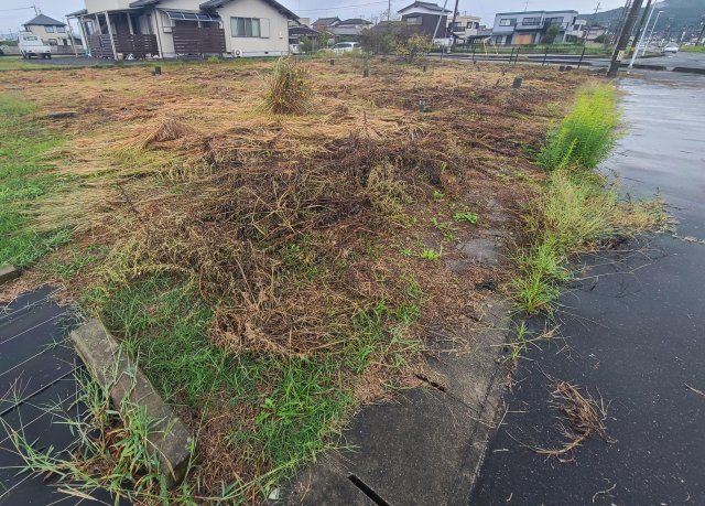平生町大字平生村の土地1の外観