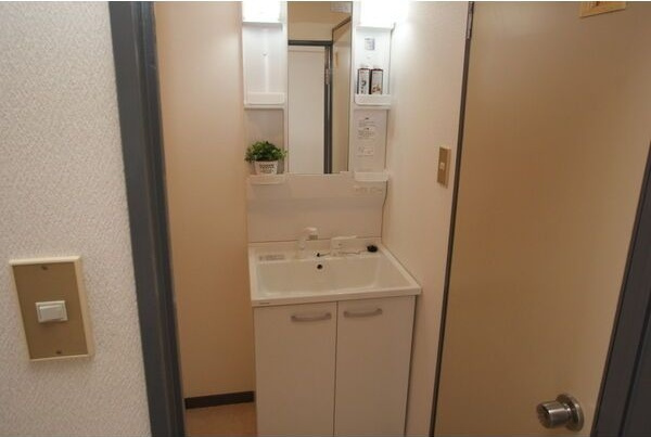 Bustle岐阜羽島の洗面所