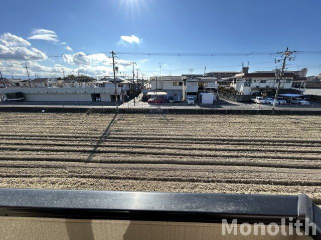 デイスターSの展望