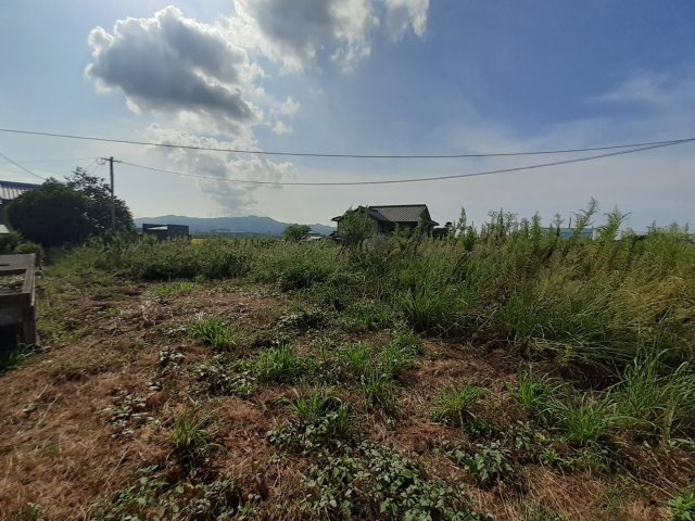 宇土市岩古曽町の売地の外観