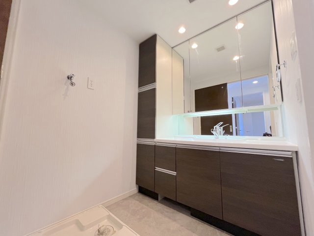 オーヴィジョン照葉アクアテラスの独立洗面台