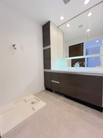 オーヴィジョン照葉アクアテラスの洗面所