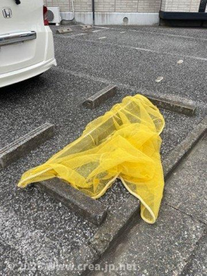 【その他共用部分】 | レフィナード Ａ/Ｂ | ゴミ置場
