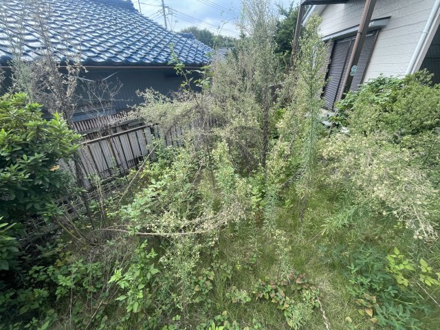 松之郷売り戸建住宅の庭