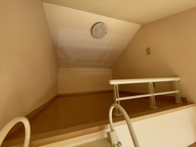 【その他】 | ウイングストリーム | ロフト