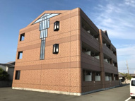 fortiaY＆Yの画像