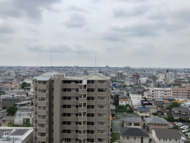 ダイヤパレス羽根井西館の展望