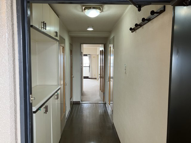 ダイヤパレス羽根井西館のその他|廊下