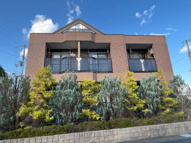 Ｐａｕｌｏｗｎｉａ（パウロウニア）の画像