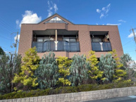 Ｐａｕｌｏｗｎｉａ（パウロウニア）の画像