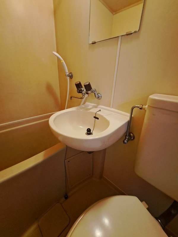 アメリカンドリームの洗面所