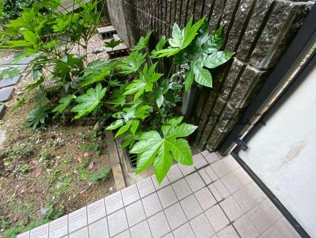 ダイアパレス枚方山田池公園の庭|お庭の付いた物件です