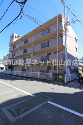  | セレーノアカマツ