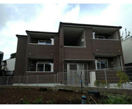 グリシーヌの画像