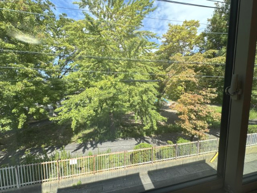 物件前道路を挟み向かい側は緑豊かな公園♪