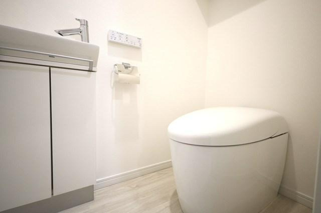 港区六本木５丁目の賃貸マンションのその他|トイレ・同反転タイプ