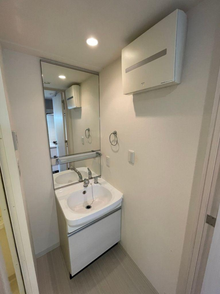 プレサンス桜通ベルノ　名古屋市賃貸　仲介手数料無料の洗面所|洗面