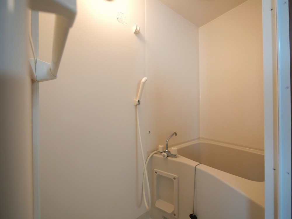 サウスゲート北堀江の浴室