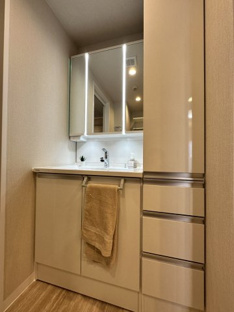 【独立洗面台】ダイアパレス五橋カルテット 