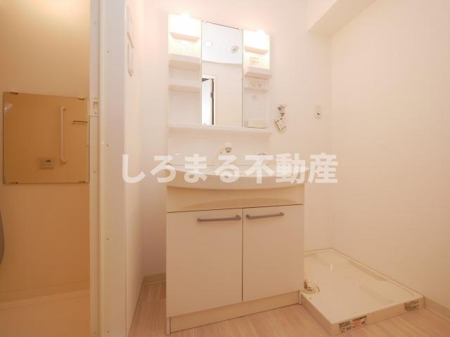 エクセルシア天神橋の洗面所