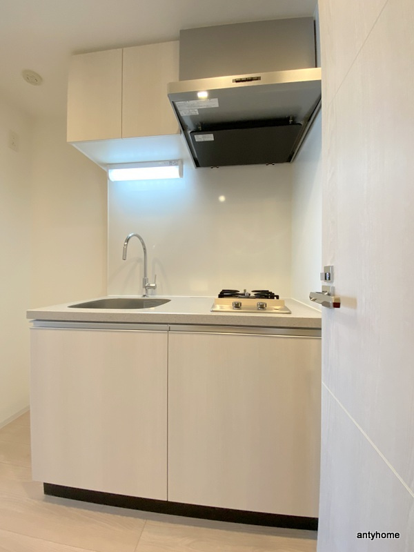 Quintet NAMBA(旧：レジュールアッシュNAMBA) 仲介手数料無料のキッチン