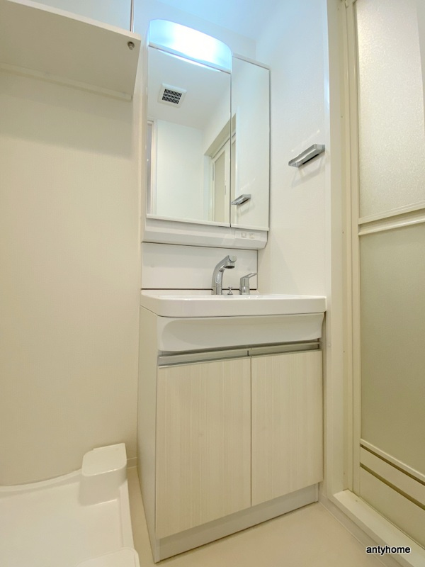 Quintet NAMBA(旧：レジュールアッシュNAMBA) 仲介手数料無料の洗面所