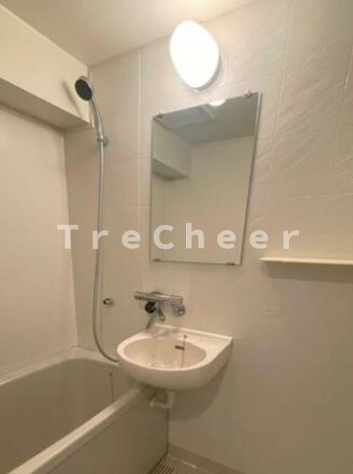 ロイヤルプラザ浅草の洗面所