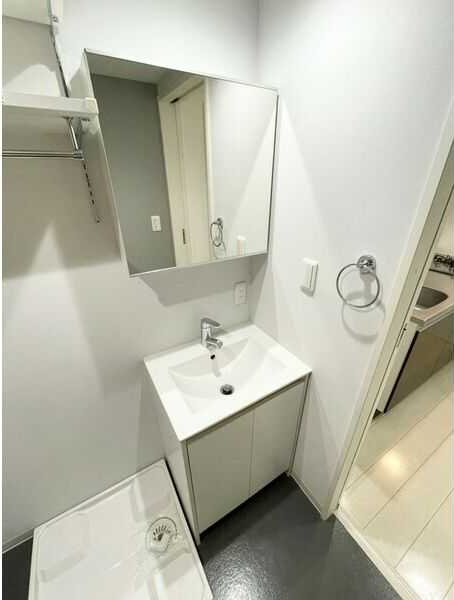 ACE　(エース)　名古屋市賃貸　仲介手数料無料の洗面所