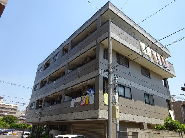 リトルウィング