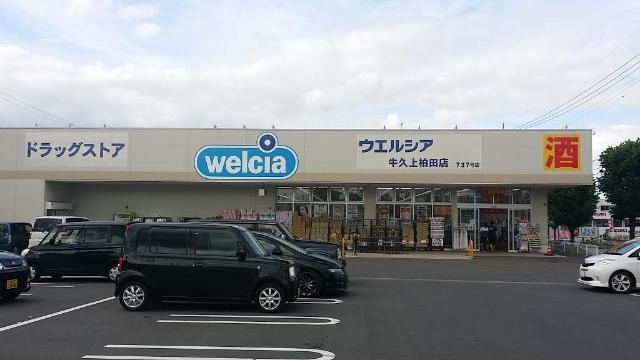 ＥＶＥＲ ＧＲＥＥＮの周辺|ウエルシア牛久上柏田店まで539ｍ