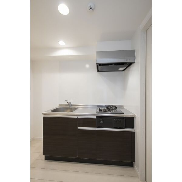 lapislazuli(ラピスラズリ)　名古屋市賃貸　仲介手数料無料のキッチン