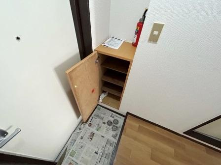 ベルメゾン片岡の玄関|※別部屋写真