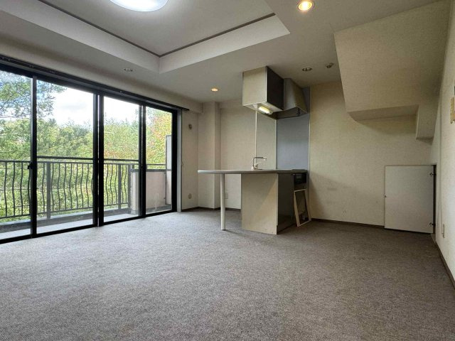 リベライン軽井沢Aの居間・リビング