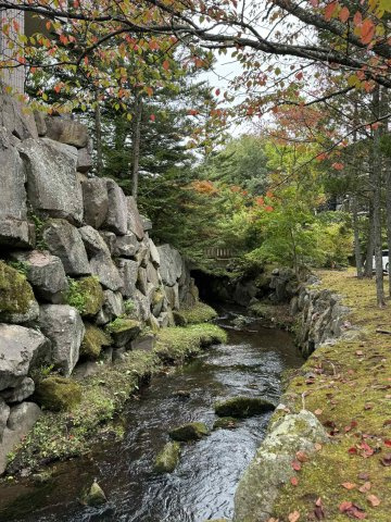 リベライン軽井沢Aのその他|軽井沢らしい、四季を感じられる敷地。部屋からも小川の音が聞こえます。