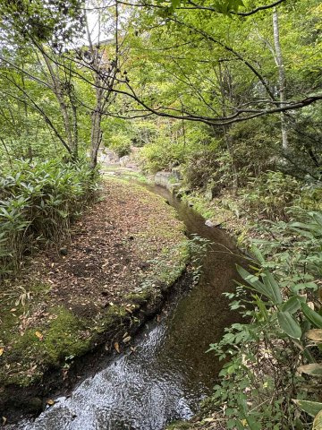 リベライン軽井沢Aのその他|軽井沢らしい、四季を感じられる敷地。部屋からも小川の音が聞こえます。