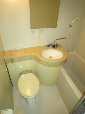 LIONS MANSION HAKUSANEKIMAEの浴室