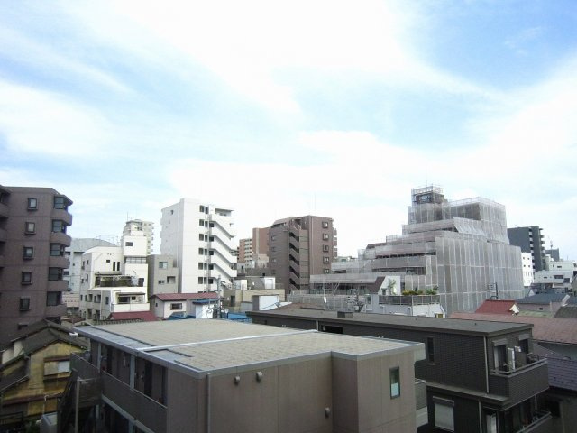 LIONS MANSION HAKUSANEKIMAEの展望