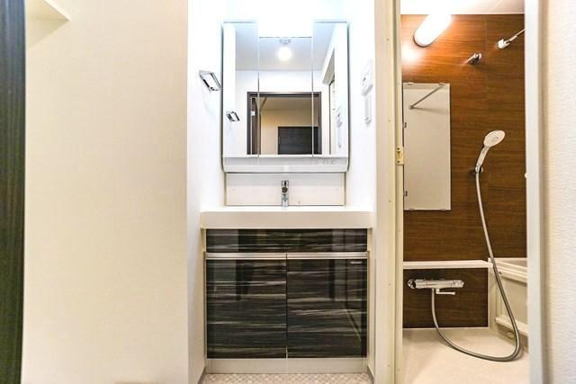 ジェノヴィア本所吾妻橋Ⅱスカイガーデンの洗面所|玄関 