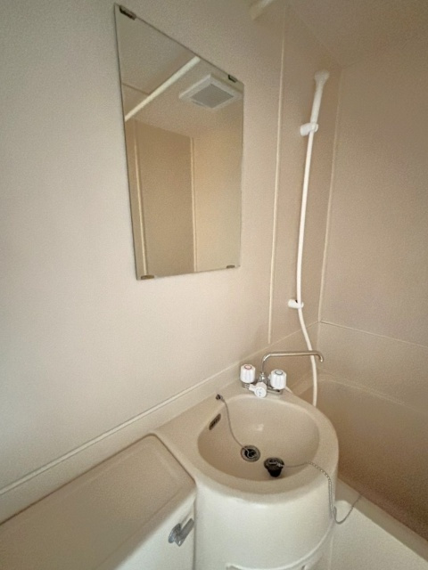 リベラル志木の洗面所