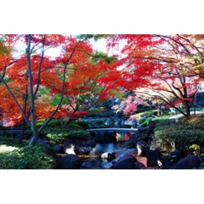 【周辺】 | ドウェル・フロイデ | 公園「大田黒公園まで1403ｍ」