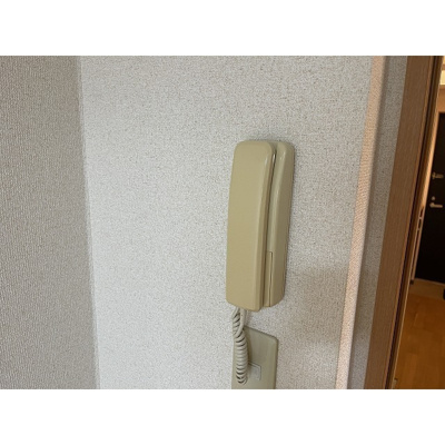 【その他】 | ビューヒル南 | インターホン