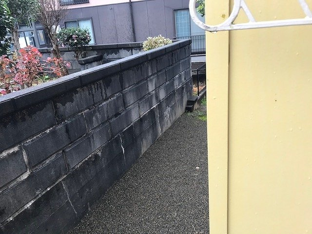 レオパレス大希のその他