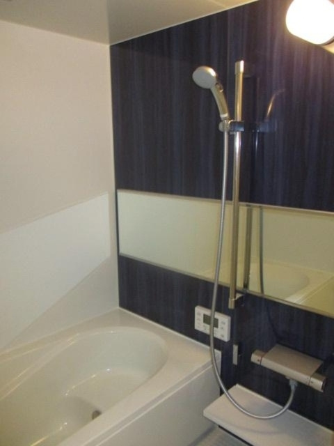 フォーチューン真壁　C棟の浴室|浴室