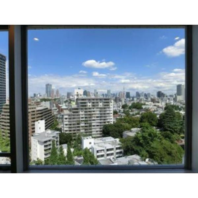 【展望】 | REX白金