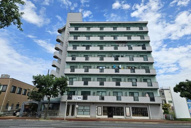 カルムニシキの画像